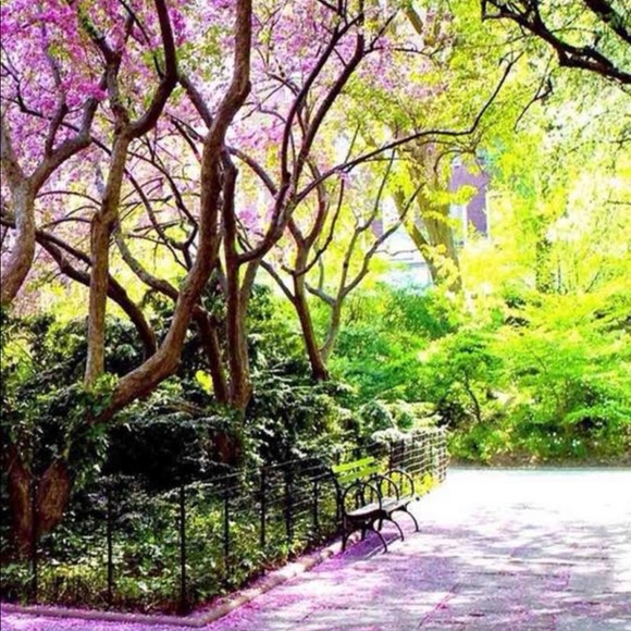 Meet your Posher, Gretchen - Picture 1 of 1